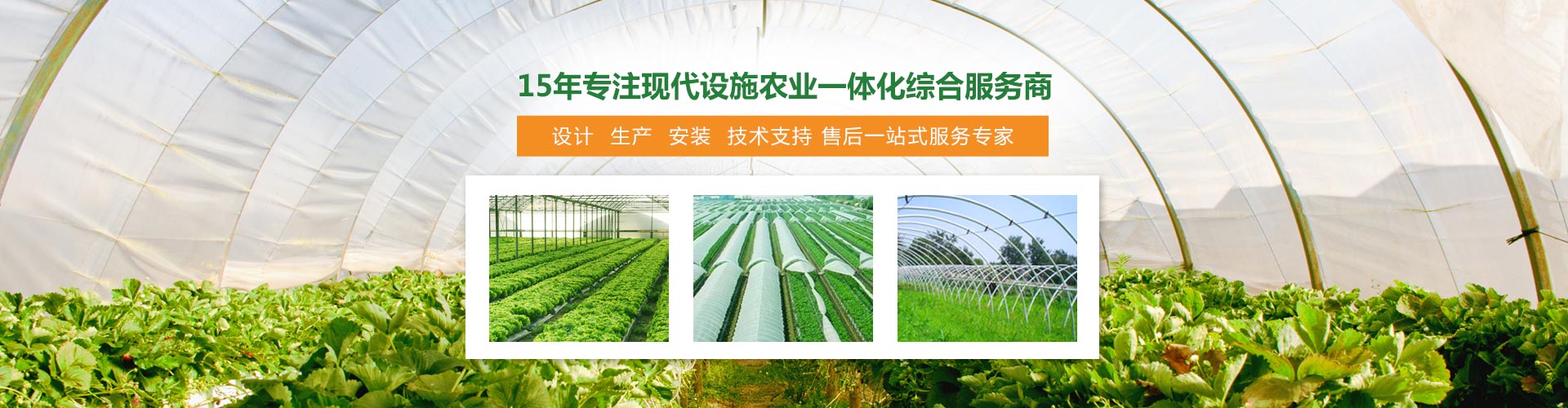 陜西溫室大棚 陜西溫室大棚